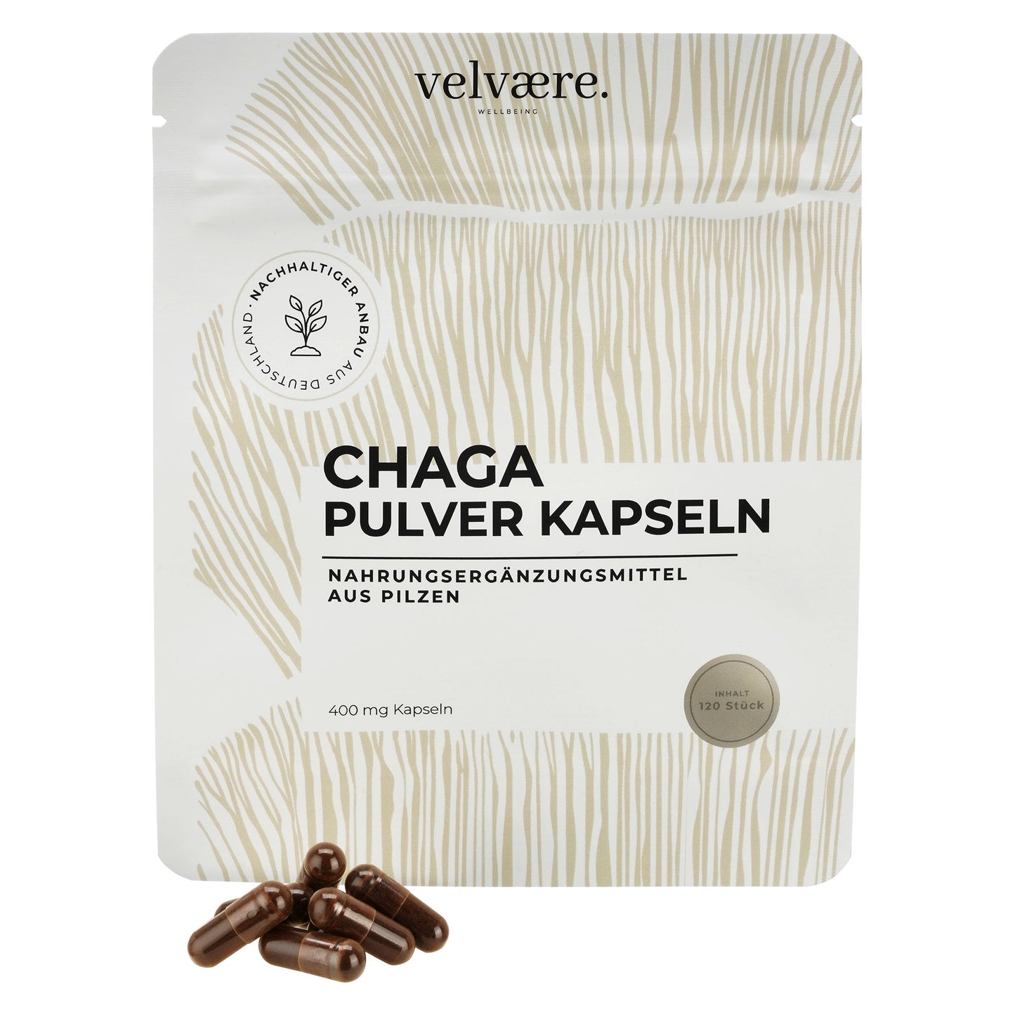 Chaga Pulver Kapseln von velvaere – Inonotus obliquus Vitalpilz Kapseln aus dem Fruchtkörper