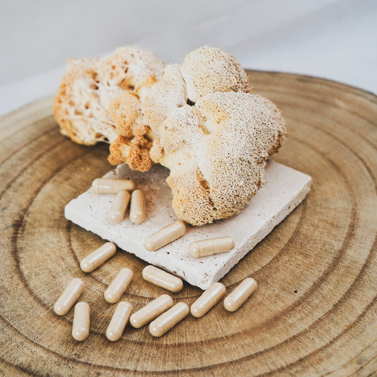 Lions mane (Hericium erinaceus)