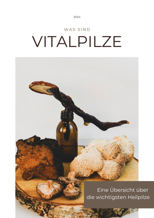 E-Book Vit5alpilze was ist das? Welcher Vitalpilz für was? Ein Übersicht über die wichtigsten Heilpilze