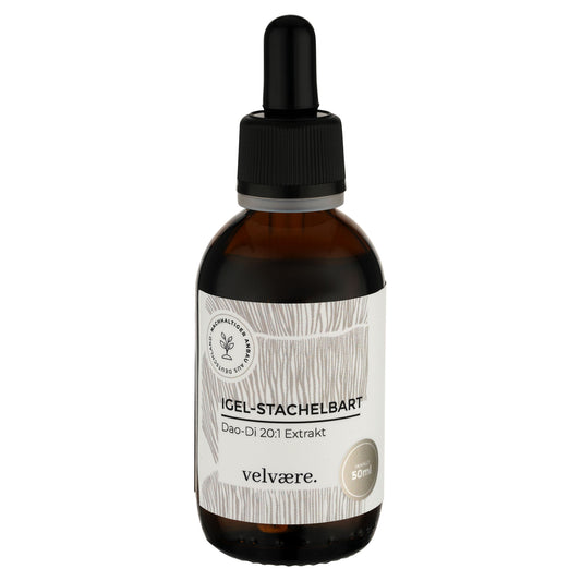 Igelstachelbart 20:1 Extrakt von velvaere in brauner Glasflasche mit Pipette – Hericium erinaceus Tropfen