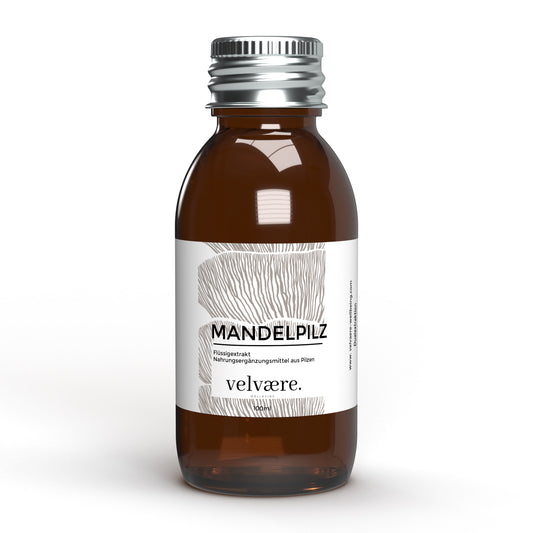 Velvaere Mandelpilz Flüssigextrakt